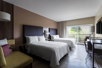 Room, 1 King Bed