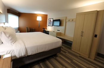 Standard Room, 1 King Bed, Accessible (Mobility Roll-In Shower)