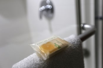 Standard Room, 1 King Bed, Accessible (Mobility Roll-In Shower)