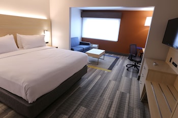 Standard Room, 1 King Bed with Sofa bed
