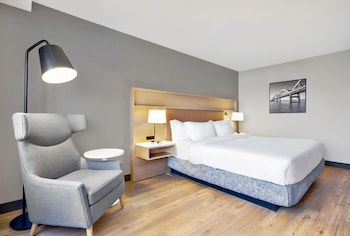 Room, 1 King Bed