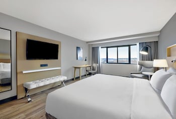 Room, 1 King Bed