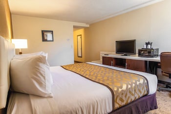 Room, 1 King Bed, Non Smoking