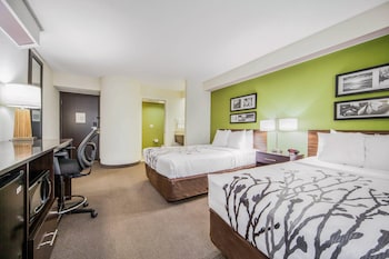 Standard Room, 2 Double Beds