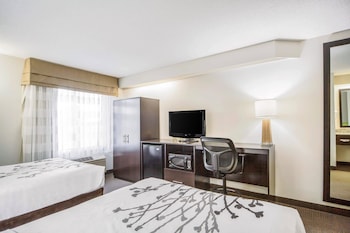 Standard Room, 2 Double Beds