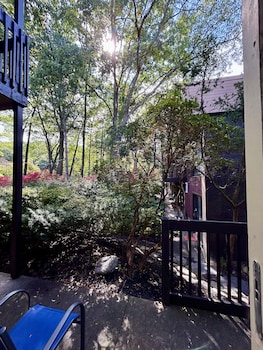 Accessible King Room - Courtyard View, Bath Tub