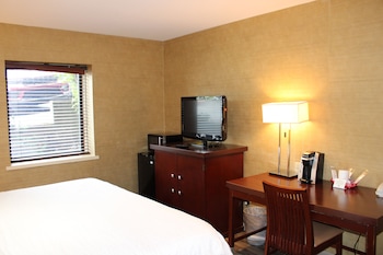 Pet-Friendly King Room - Near Bar, Non-Smoking