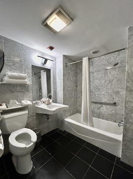 Accessible King Room - Courtyard View, Bath Tub