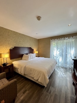 Accessible King Room - Courtyard View, Bath Tub
