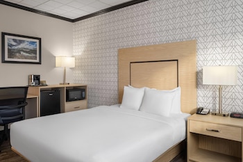 Room, 1 Queen Bed, Mobility Accessible, Non Smoking (Roll-In Shower)