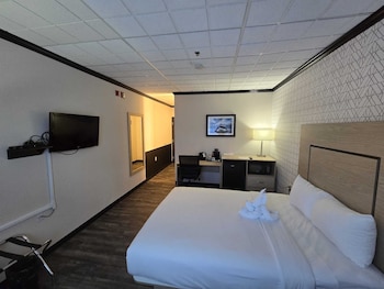 Room, 1 Queen Bed, Mobility Accessible, Non Smoking (Roll-In Shower)