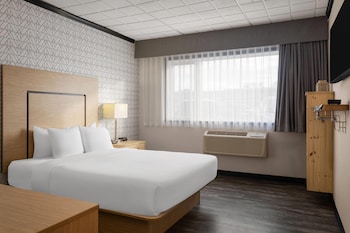 Room, 1 Queen Bed, Mobility Accessible, Non Smoking (Roll-In Shower)