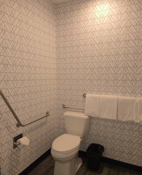Room, 1 Queen Bed, Mobility Accessible, Non Smoking (Roll-In Shower)