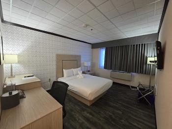 Room, 1 Queen Bed, Mobility Accessible, Non Smoking (Roll-In Shower)
