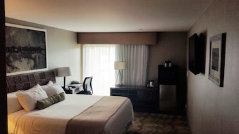 Standard Room, 1 King Bed, Accessible, Non Smoking