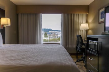 Standard Room, 1 King Bed, Refrigerator & Microwave, City View