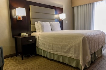 Standard Room, 1 Queen Bed, Refrigerator & Microwave, City View