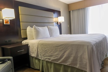 Standard Room, 1 King Bed, Refrigerator & Microwave, City View