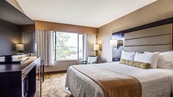 Standard Room, 1 Queen Bed, Refrigerator & Microwave, City View