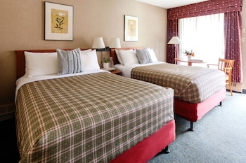 Standard Double Room, 2 Double Beds