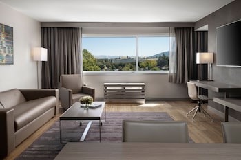 Suite, 1 King Bed, Mountain View