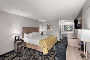 Standard Room, 1 King Bed, Accessible