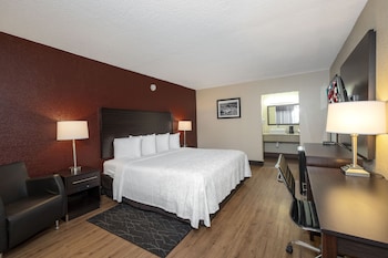 Standard Room, 1 King Bed, Accessible (Roll-In Shower, Smoke Free)