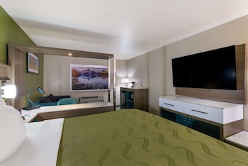 Standard Room, 1 King Bed, Non Smoking
