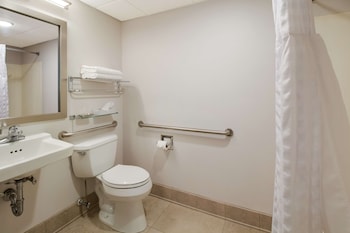 Standard Room, 1 King Bed, Accessible, Refrigerator & Microwave