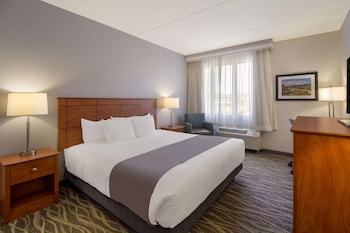 Standard Room, 1 King Bed, Accessible, Refrigerator & Microwave