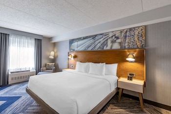 Room, 1 King Bed, Non Smoking