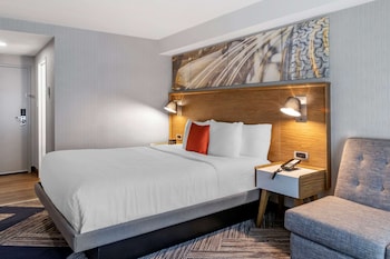 Room, 1 King Bed with Sofa bed, Non Smoking