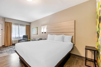Room, 1 King Bed, Accessible, Non Smoking