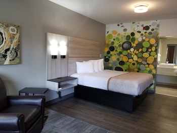 Room, 1 King Bed, Accessible, Non Smoking