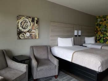 Suite, Multiple Beds, Non Smoking (Efficiency)