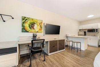 Suite, 1 King Bed with Sofa bed, Accessible, Non Smoking (Efficiency)