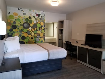 Suite, 1 King Bed with Sofa bed, Accessible, Non Smoking (Efficiency)