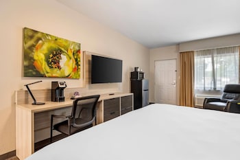 Room, 1 King Bed, Accessible, Non Smoking