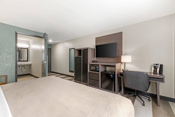 Room, 1 King Bed, Accessible, Non Smoking