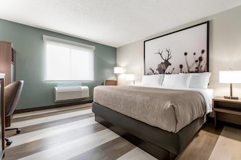 Room, 1 King Bed, Non Smoking