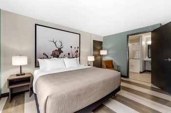 Room, 1 King Bed, Accessible, Non Smoking