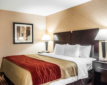 Standard Room, 1 King Bed, Non Smoking