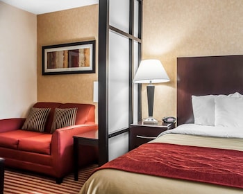 Efficiency, Studio, 1 King Bed with Sofa bed, Non Smoking