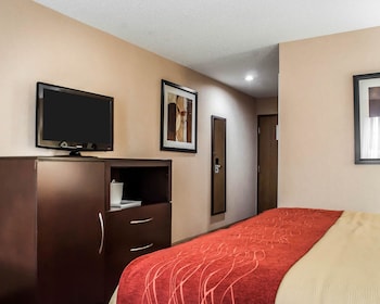 Efficiency, Studio, 1 King Bed with Sofa bed, Non Smoking
