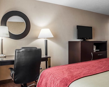 Efficiency, Studio, 1 King Bed with Sofa bed, Non Smoking