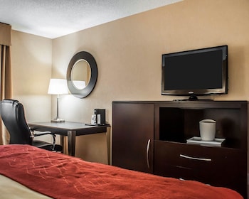 Room, 1 King Bed, Accessible, Non Smoking