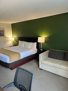 Room, 1 King Bed, Non Smoking