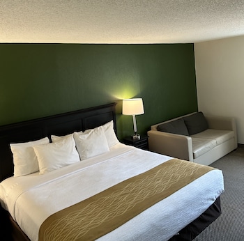 Room, 1 King Bed, Non Smoking