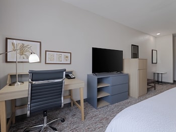Suite, 1 King Bed
