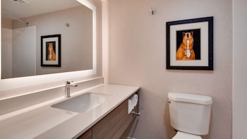 Suite, 1 King Bed, Non Smoking, Refrigerator & Microwave (with Sofabed)